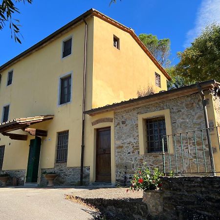 Podere Santino Lucca Exterior foto